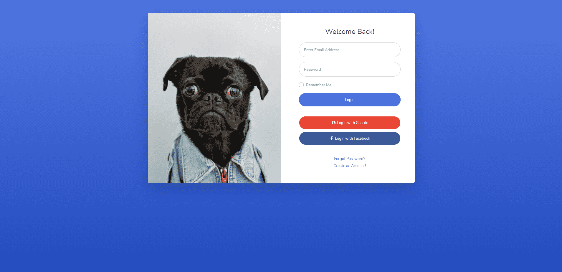 图片[2]-蓝色后台管理系统网站模板-乐熊工作室